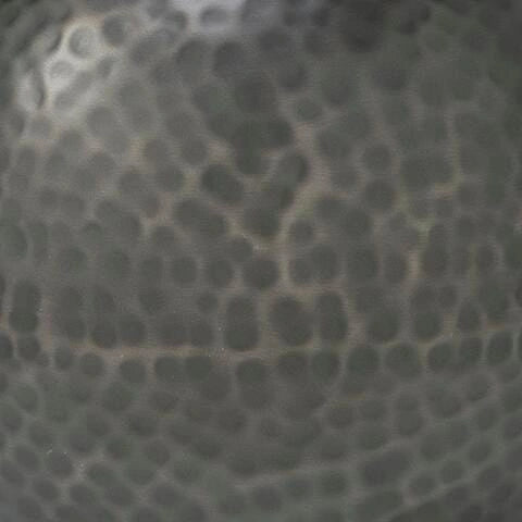 Woody Vase